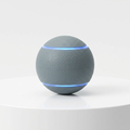 Motion-Activated Rolling Ball Dog Toy